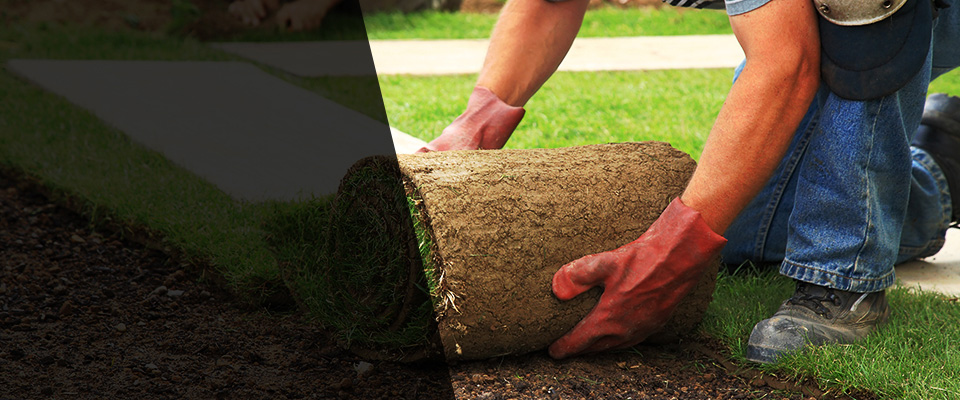 Hebron Landscapers